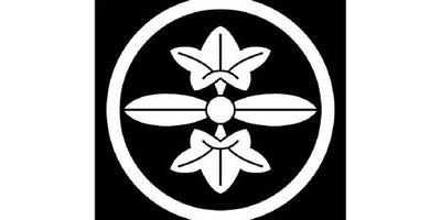 Японский узор 2659