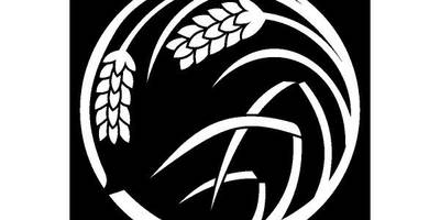 Японский узор 20