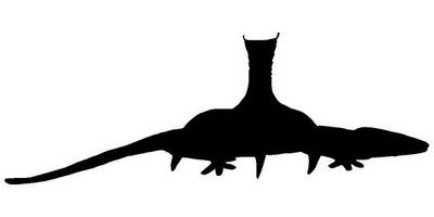 Животные 330