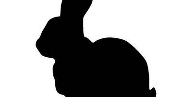 Животные 751