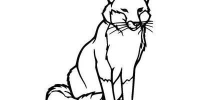 Животные 1978