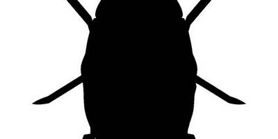 Животные 3059