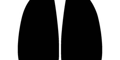 Животные 1246