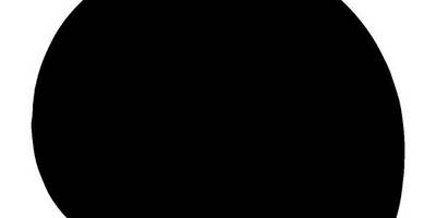 Животные 3989