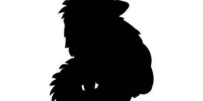 Животные 2552