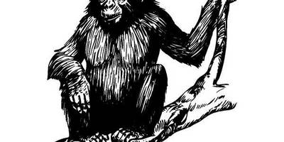 Животные 108