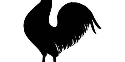 Животные 2641