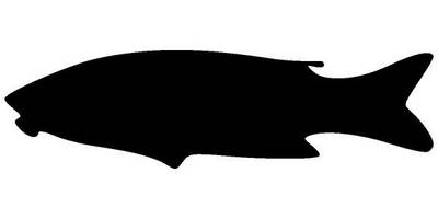 Животные 106