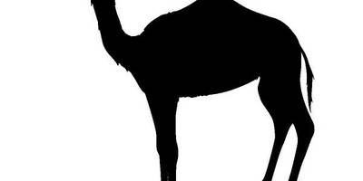 Животные 693