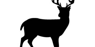 Животные 317