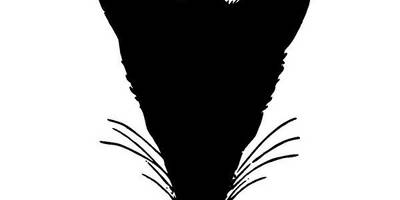 Животные 3898