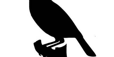 Животные 950