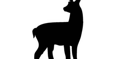 Животные 1614