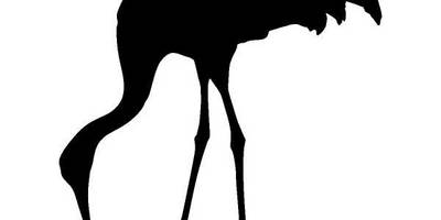 Животные 1186