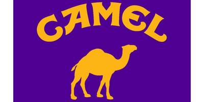 Camel logo2