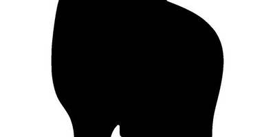 Животные 4123