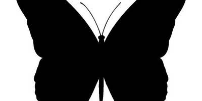 Животные 2632