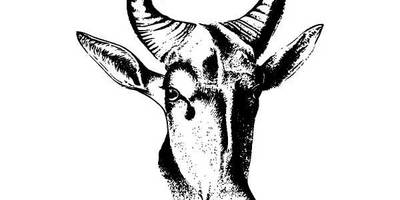 Животные 888