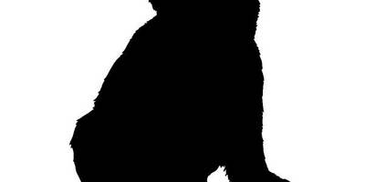 Животные 660