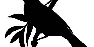 Животные 949