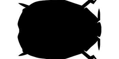 Животные 3061