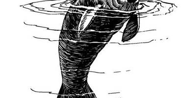 Животные 3796