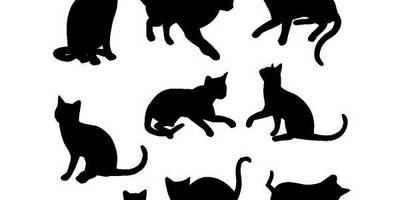 Животные 1037