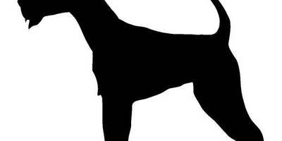 Животные 1129