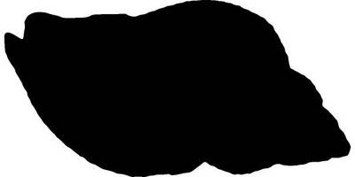 Животные 2250