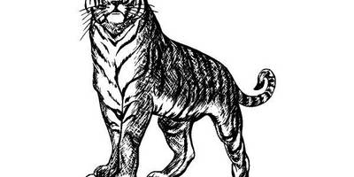 Животные 1137