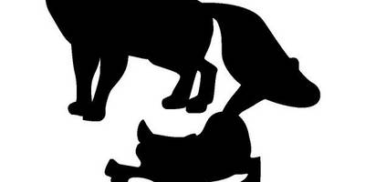 Животные 428