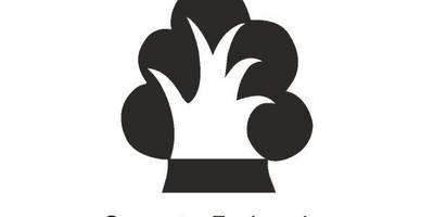 Computer engineering logo