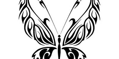 Животные 902