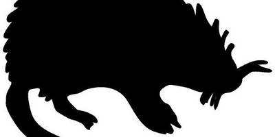 Животные 1988