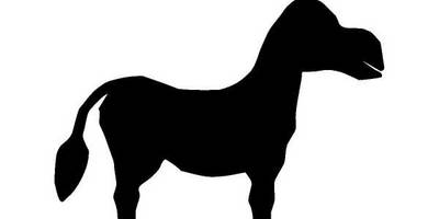 Животные 870