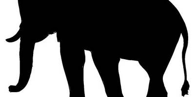 Животные 599