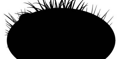 Животные 3168