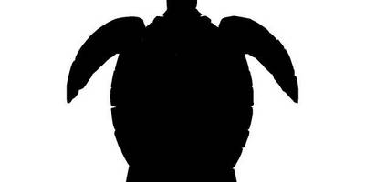 Животные 1970