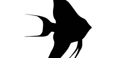 Животные 1404