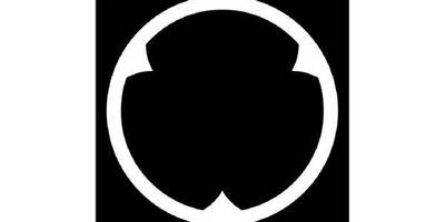 Японский узор 2859