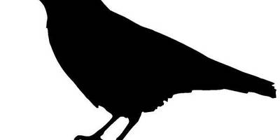 Животные 1176