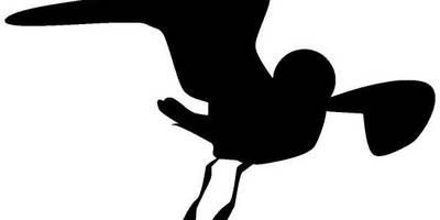 Животные 3371