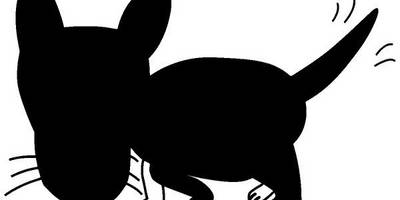 Животные 877