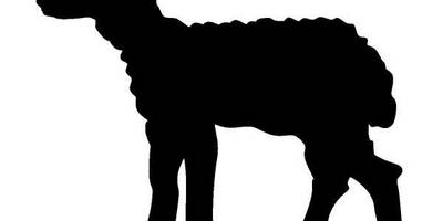 Животные 170