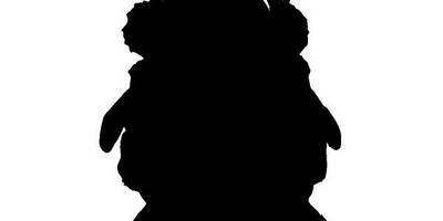 Животные 2941