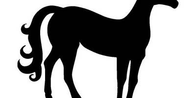 Животные 3568