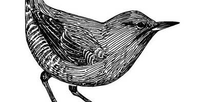 Животные 3803