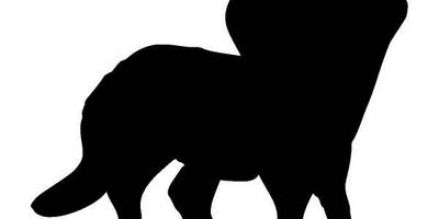 Животные 183