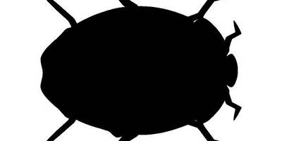 Животные 3048