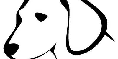 Животные 3203